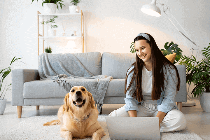10 Trusted Ways to Get House Sitting Jobs (Now Hiring) house sitting jobs